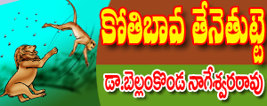 Kothibaava tenetutte